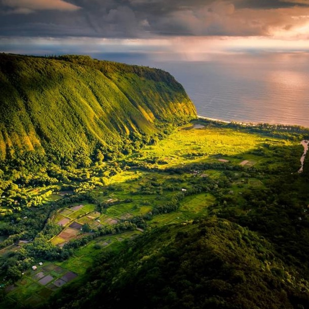 Meet your Posher, Aiden